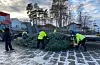 JuletreSveio sentrum