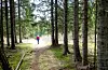 Formålet til Det norske Skogselskap er at alle menneske skal oppleve skog som ei verdfull kjelde til livskvalitet. Illustrasjonsfoto: Gorm Kallestad / NTB / NPK