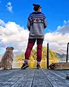 @torilmilford🍂 #ålfjorden #røykenes #softcoatedwheatenterrier