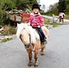 @maiken1990Ei så har fått sansen for hest🐴🥰 Her kose hu seg på ridetur me Dagny❤