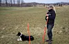 Lillian Rommetveit stilte med lånt hund i klasse 2 og eigen hund i klasse 3.
