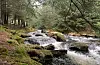 Bjellandselva.FOTO: TORSTEIN TYSVÆR NYMOEN