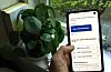 I Vestland får dei som har skatt til gode i snitt tilbakebetalt 11.720 kroner.