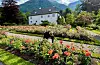 I 1927 vart Baroniet i Rosendal omgjort til stifting og overteke av Universitetet i Oslo. I dag blir staden drive som museum, avlsgard og kultursenter. Foto: Heidi Molstad Andresen / NPK