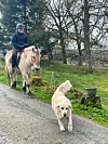 Martine Eidesvik Monsen på veg til ridetur.