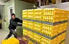 GULT ER KULT: Etter handsorteringa legg ei maskin dei godkjente egga i rammer og stablar seks og seks rammer i høgda. Derfrå løftar Kjell-Kristian dei over på pallar og trillar egga inn på kjølerommet.