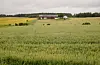 I perioden 2015 til 2020 har næringsinntektene frå jorbruket til saman auka med rett under 24.000 kroner, ifølgje SSB. Her frå ein gard i Rakkestad med kornåker i forgrunnen. Illustrasjonsfoto: Vidar Ruud / NTB / NPK
