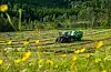 Framleis er det mange bønder som aldri brukar setebelte i traktor, men talet har gått ned dei siste seks åra. Foto: Vidar Ruud / NTB / NPK
