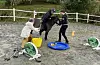 Ein ryttar gjer oppgåver i gymkhana-løypa. To hjelparar stiller opp for at det skal gå smidig.