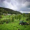 @stineelisabetht Naturen er min nabo #emberland #idüll #livetpålandet #vestavindsveio #norskukeblad