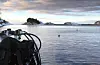 Flotte dykkeforhold ved Lyngholm sist laurdag.