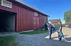 Samla skal landbruket dei neste åra bruke 40 millionar kroner på å redusere utsleppa frå norsk mjølke- og kjøttproduksjon. Regjeringa har mellom anna løyvd 10 millionar kroner gjennom jordbruksoppgjeret til arbeidet.