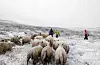 Etter å ha blitt overrumpla av regn, snø, hagl og sterk vind i 1200 meters høgde, blei det ein stri tørn for sauesankarane å ta seg fram i terrenget. I dag takkar dei alle hjelpemannskap som stilte opp då dei trong det.