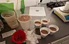 Proteinshake er mogelegvis ikkje det ein forbind med forsking, men for nyreforskning er det viktig. FOTO: PRIVAT