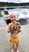 Blide Jonas Økland Våga er ein liten tøffing som vågar å handtera ein så stor krabbe. Han kosar seg på naustet på Våga.