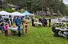 Fiskesommar i Holsvika 2024