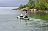 Fiskesommar i Holsvika 2024