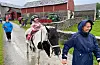 Tiril Ferstad Nilsen (4) fekk seg ein ridetur. Mamma Anne Berit (t.v.) følgjer etter til fots.