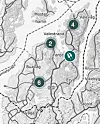 Kartet viser kvar og kor mange hjortevilt som er påkøyrt i Sveio hittil i år. KART: MILJØDIRETORATET