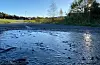 Ein pytt på ein gangsti i Sveio har frose. Natt til fredag vil det truleg kome meir nattefrost.