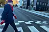 Torsheim har gjeve ut fleire cd-ar, deriblant «Nynorskens skog» med klassikaren «Eg og meg og Mona». Beatles er framleis favorittbandet.
