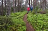 Røysaneset, ein av dei fine TellTur-måla i Sveio.