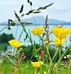 @reidunbreistig Rekreasjon…..#Raw_Allnature #pocket_allnature #nature_brilliance
