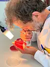 Henning Sørum har forska på mikrobiologi i snart 40 år. Han kan det som er å vite om sjukdommar som smittar frå dyr til menneske.