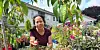 Fuksia finst i mange variantar, Maria Glenda Caballes Flåten har rundt 30 ulike.