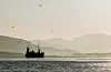 Det blir truleg brislingfiske i Sognefjorden og Hardangerfjorden, men ikkje i Nordfjord. Foto: Kari Hamre / NPK