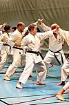 Luna NesseSveio Karate