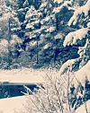 Vinter på Våga#vinter #snø #winter #Norway #vestavindsveio