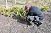 Thomas Helgesen gjev vekstane i Rex Garden godt med omsorg og stell. FOTO: GUNNHILD LØNNING