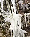 Naturens egne kunstverk ????????❄️❄️ #nature #naturephotography #naturelovers #naturbilder #is #isskulptur #utno #utnorge #winter #winterwonderland #vinter #vintertid #vestavindsveio #livetpålandet #livetiskogen #fotofanatics_nature_ #frost #frosty #outside #iskunst #naturenskunstverk