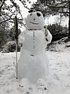 Denne kule pirat-snømannen står i Lauvåsvegen, og er laga av Valentin Kreinbihl (6), med litt hjelp av mamma.