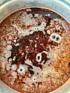 USILT SUPPE: Krapprøtene er kutta opp og lagt i vatn, og har svella i eit døgn før dei blir blanda ut i fargebadet. Det er vanleg å sile fargesuppa før ein legg garnet i. Foto: Heidi Molstad Andresen / NPK