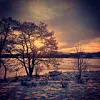 #Nydelig ute på tur nå i formiddag ????#emberland #emberlandsvatne #sveio #snø #vestavindsveio #vinter #friluftsliv #fintvær #finefarger #norskukeblad #fotonorge #hafoto #tv2været #natur #solnedgang #norgefoto #ut#utno #norge #norwayphoto #amising #sunset #sunsetphotography #norwayphoto #winter #water #trees #landscapephotography #snow