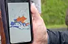 Bjørn-Tore Rekve Seim viser eit kart over kvar guliriksen vanlegvis helt til. På det blåe lev den året rundt, det oransje er hekkeområde og på det lyseblå overvintrar den. FOTO: THOMAS VALLESTAD DRAGESET