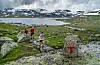 – Tilpass fjellvitreglane til fjelløping, seier Jarle Bjørge Øverland, landsrådsleiar for hjelpekorpsa i Røde Kors. Foto: Katrine Holland