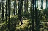 Bilde frå den nye SunnhordlandfillmenFOTO: SAMARBEIDSRÅDET FOR SUNNHORDLAND