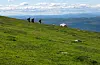 Illustrasjonsfoto: Halvard Alvik, / NTB / NPK