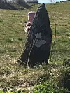 Fin stein å gøyma seg bak.