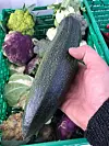 — Aubergine er undervurdert. Eller squash også då, den er kjempegøy, seier Meland. FOTO: PRIVAT