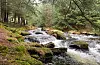 Ein tur langs Bjellandselva er i seg sjølv ei oppleving.