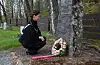 Ordførar Linn Therese Erve la ned krans ved minnesmerket over dei falne på Framnes kyrkjegard 8. mai 2020. 75-årsjubileet for fredsdagen 8. mai 1945 blei markert med talar og kransenedlegging ved alle krigsmonumenta i kommunen.