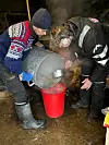 Alt skal med! Her blir dei siste restane av den ferdig sila vørteren helt over i bøtta – som derifrå går i gryta på grua. Foto: Heidi Molstad Andresen / NPK