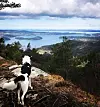 jannefluFin tur te Dreng i dag. 🥰 Fekk pulsen opp der ja. 😄#hiking #telltur #hektapåtur #spring #vår #muddy #lovetheview #vestavindsveio