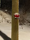 Mykje fin pynt på mastene.