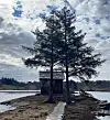 vfylkesFine tur til Bjellandselva i Sveio 🐣😊 #utno #utpåtur #sveio #vestavindsveio #bjellandselva #visitsunnhordland #haugalandet #elv #skog #vann #långfredag #påske