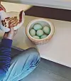livea13Grønne påskeegg til årets første påskefrokost🐣🥚 #egg #påskeegg #easter #påske #easteregg #eastereggs #easterbreakfast #påskefrokost #greenegg #påsketradisjon #eastertraditions #hyttelivet #hytteliv #minefine #familietid #familytime #sveio #sveiomidtileio #vestavindsveio